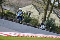 Oulton-Park-21st-March-2020;PJ-Motorsport-Photography-2020;anglesey;brands-hatch;cadwell-park;croft;donington-park;enduro-digital-images;event-digital-images;eventdigitalimages;mallory;no-limits;oulton-park;peter-wileman-photography;racing-digital-images;silverstone;snetterton;trackday-digital-images;trackday-photos;vmcc-banbury-run;welsh-2-day-enduro